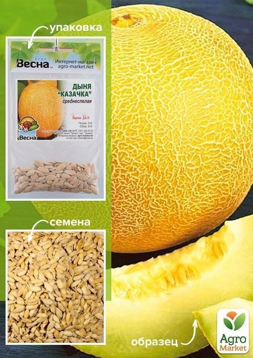 Дыня "Казачка" (Зипер) ТМ "Весна" 4г
