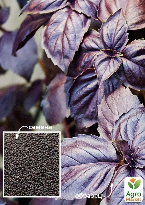 Базилик "Дарк Опал" ТМ "Весна" 100г