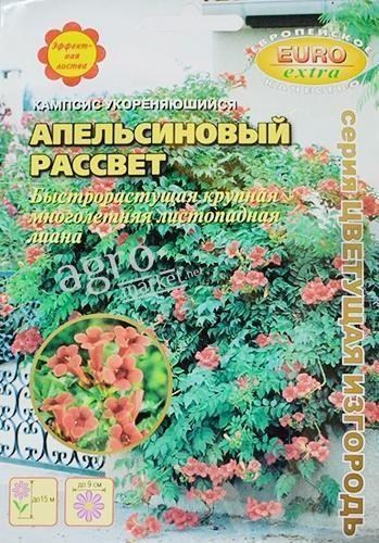 Кампсис укореняющийся "Апельсиновый рассвет" ТМ "Аэлита" 0.05г