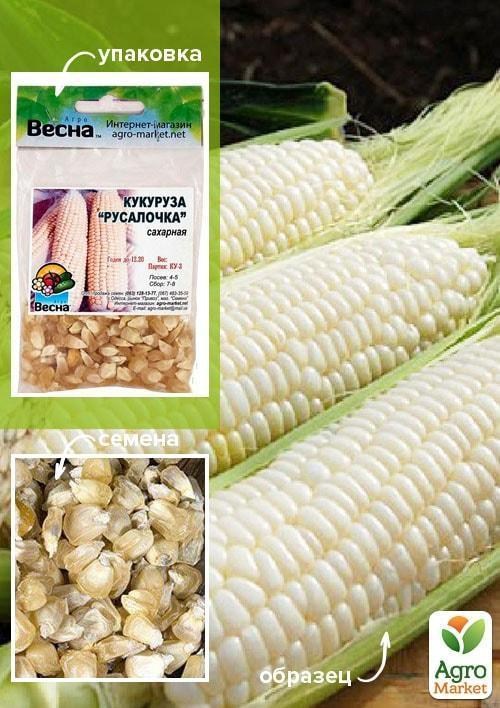 Кукурудза "Русалочка" (Зипер) ТМ "Весна" 15г