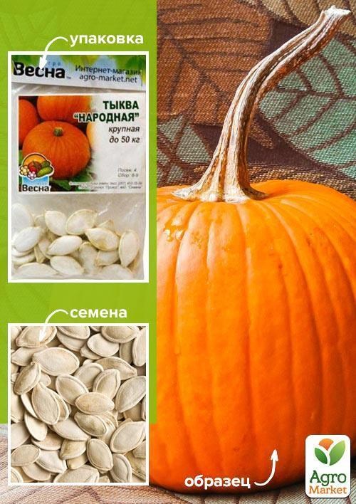 Тыква "Народная" (Зипер) ТМ "Весна" 8г