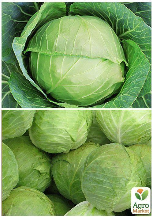 На вагу Капуста "Слава" ТМ "Весна" ціна за 6г - фото 3