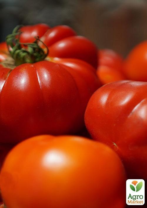 Томат "Монсеррат Кабалье" ТМ "Vesna Select" 0,2г - фото 3