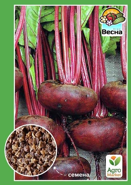 Свекла "Египетская плоская" ТМ "Весна" 2г