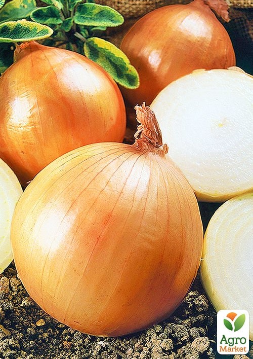 Лук "Гранд Эталон" (Зипер) ТМ "Весна" 3г