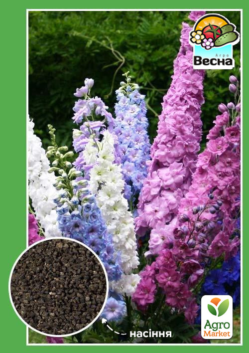 Дельфініум багаторічний суміш ТМ "Весна" 0.1г