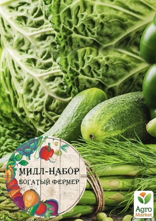 Мідл-набір овочів "Зелена грядка" "Багатий фермер" (в коробці) ТМ "Весна" 30уп