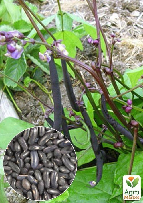 На вагу Квасоля спаржева "Чорна" ТМ "Весна" ціна за 15г