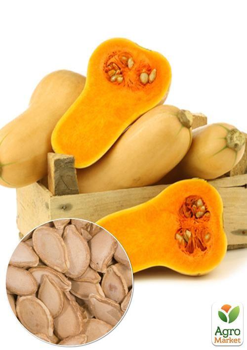 На вагу Гарбуз "Арабатський" ТМ "Весна" ціна за 10г