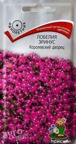 Лобелия эринус "Королевский дворец" ТМ "Поиск" 0.1г