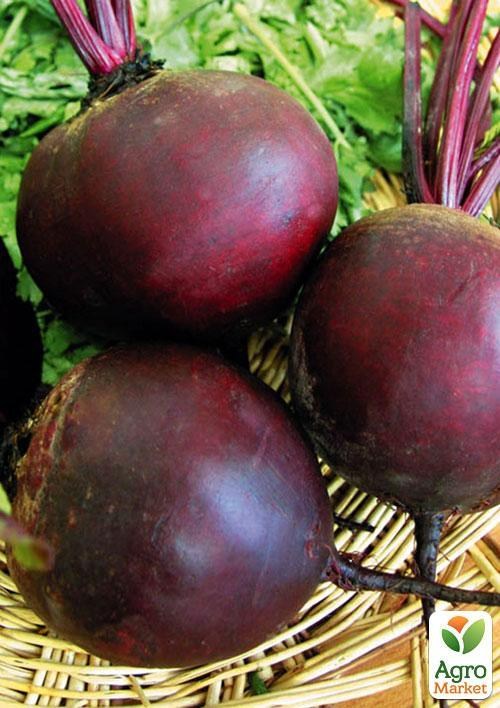 Свекла "Красный шар" (в банке) ТМ "Весна Органик" 20г