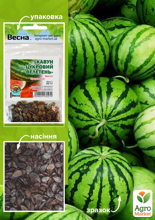 Арбуз "Сахарный великан" (Зипер) ТМ "Весна" 4г