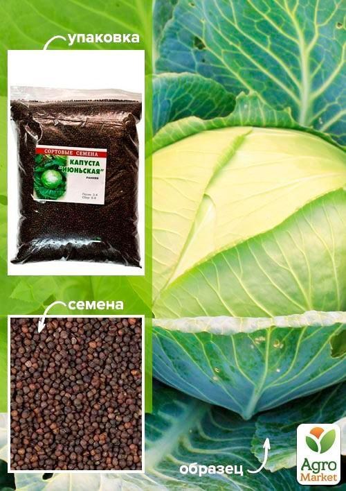 Капуста "Июньская" ТМ "Весна" 500г