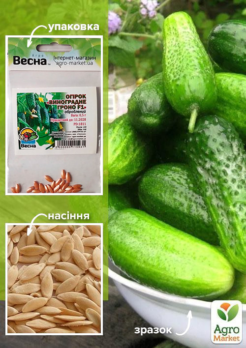 Огурец "Виноградная гроздь F1" (Зипер) ТМ "Весна" 0.5г