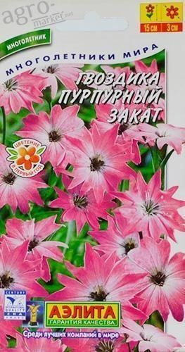 Гвоздика "Пурпуровий захід" ТМ "Аеліта" 0.03г