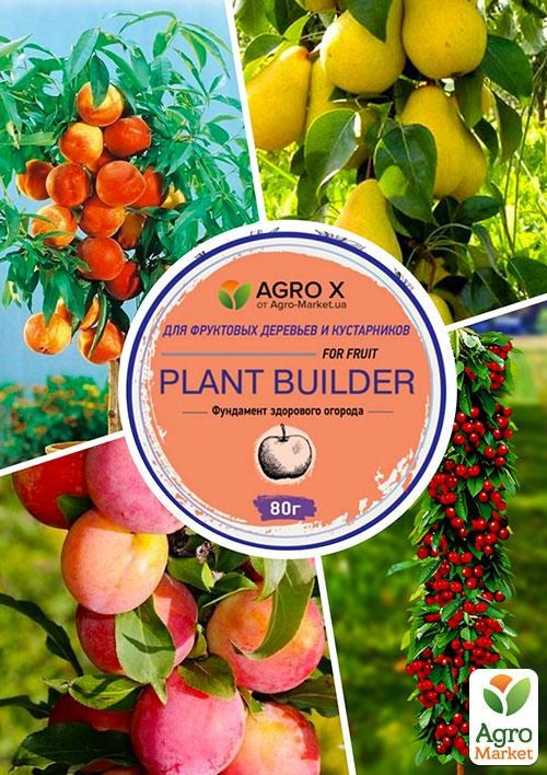 Колоновидні, комплект з 4-х сортів "Солодка вечірка" (Sweet party) 4шт саджанців + найкраще добриво