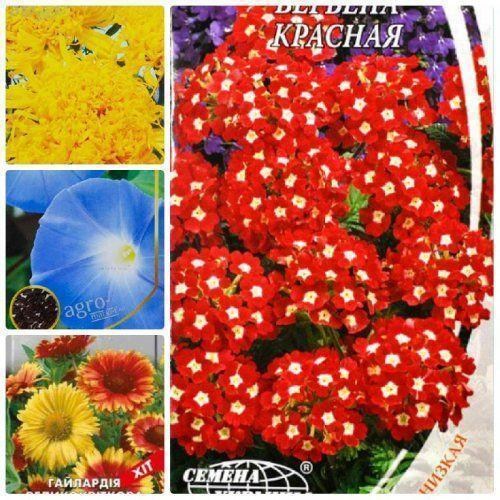 Комплект семян цветов "Дачный дворик" 5уп