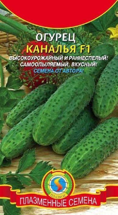 Огурец "Каналья F1" ТМ "Плазменные семена" 10шт