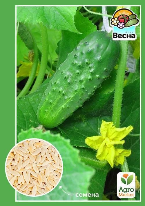 Огірок "Лялюк" ТМ "Весна" 0.5г