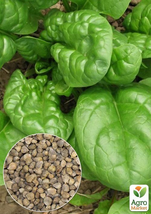 На вагу Шпинат "Жирнолистий" ТМ "Весна" ціна за 7г