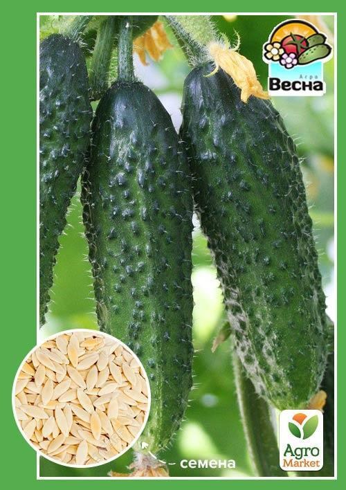 Огурец "Кузнечик F1" ТМ "Весна" 0.25г