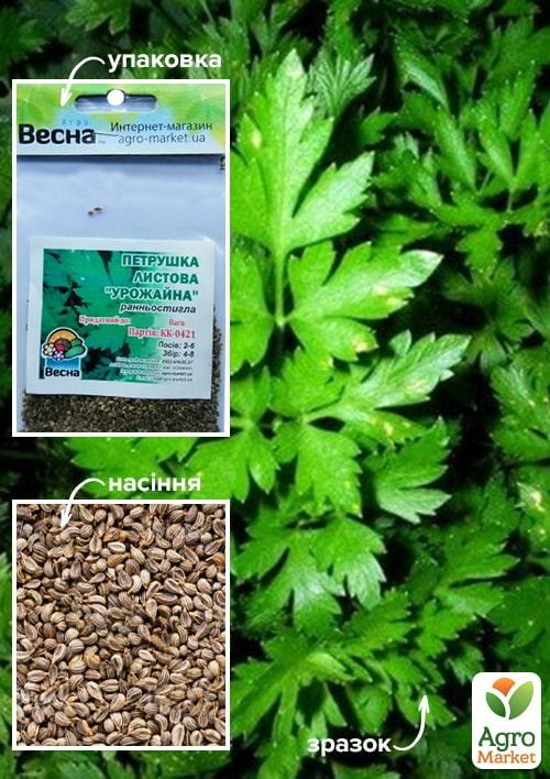 Петрушка "Урожайна" (Зипер) ТМ "Весна" 7г