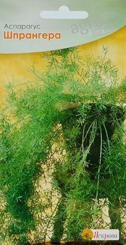 Аспарагус "Шпрангера" ТМ "Яскрава" 0.5г