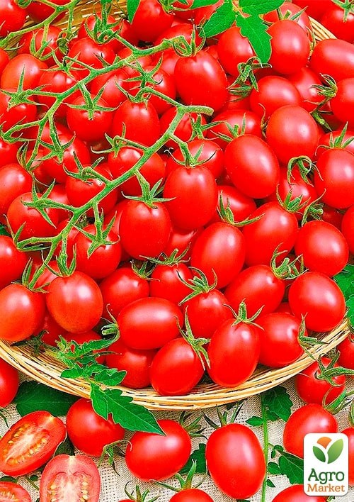 На развес Томат "Дачное лакомство" ТМ "Весна" цена за 1г - фото 2