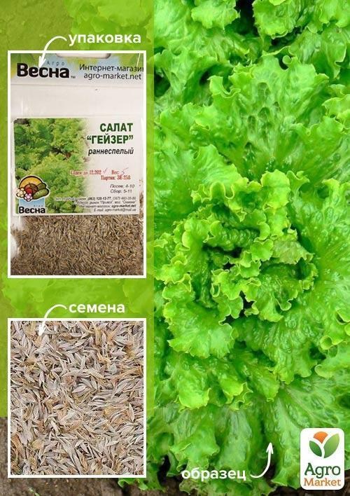 Салат "Гейзер" (Зипер) ТМ "Весна" 5г