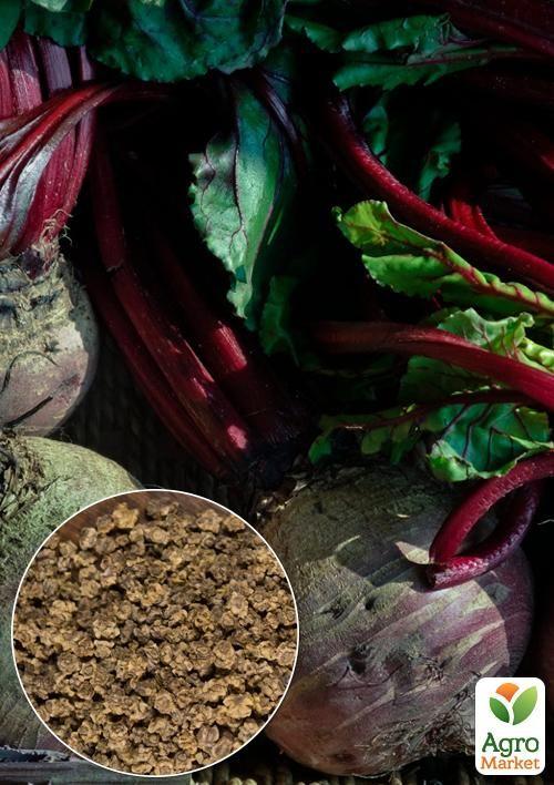 На развес Свекла "Бордо" ТМ "Весна" цена за 10г