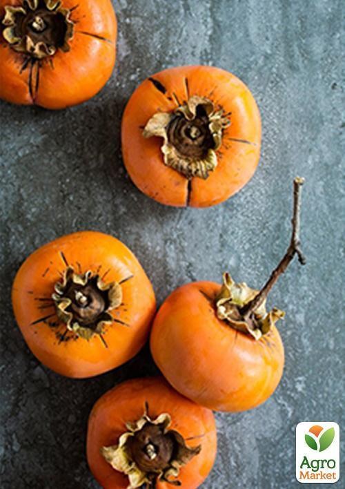 Хурма "Сосновська" (саджанець 3 роки) вищий сорт!