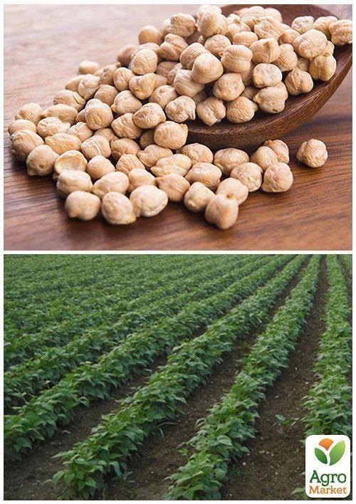 На развес Нут ТМ "Весна" цена за 50г - фото 3