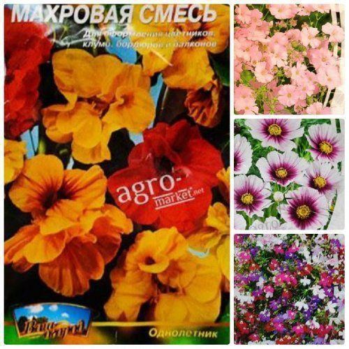 Комплект семян цветов "Весеняя поляна" 5уп