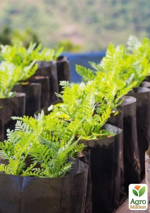 Пакет для рассады, саженцев 11*14см - фото 4