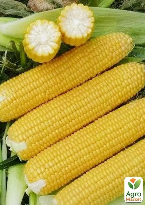 Кукуруза "Уокер F1" ТМ "Lark Seeds" 2500шт