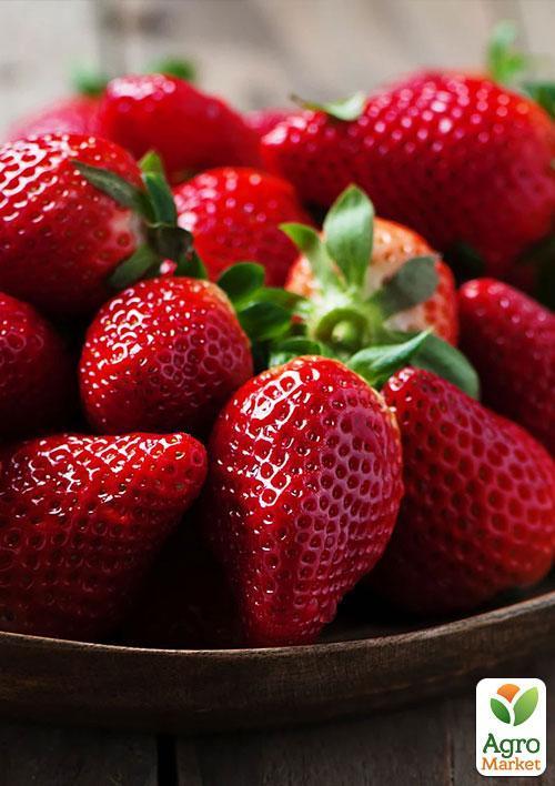 Ексклюзив! Полуниця яскраво-червона "Місіс Віллоу" (Mrs. Willow) (преміальний ремонтантний сорт, італійська селекція) - фото 8