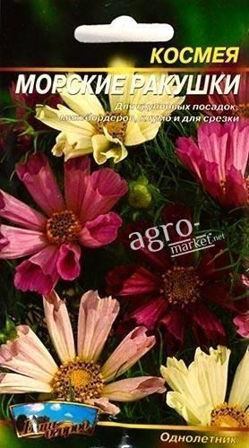 Космея "Морські мушлі" ТМ "Весна" 0.3г - фото 2