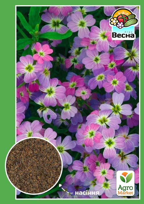 Матиола ароматная "Многолетняя" ТМ "Весна" 1г