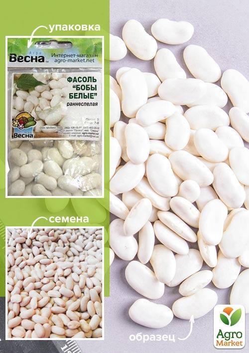 Фасоль "Бобы белые" (Зипер) ТМ "Весна" 5г