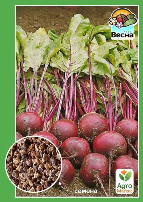Буряк "Делікатесна" ТМ "Весна" 2г