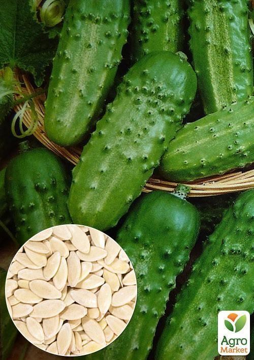 На вагу Огірок "Голубчик F1" ТМ "Весна" ціна за 2г