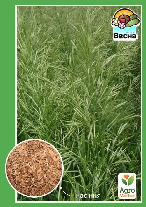 Трава "Костер безостый" ТМ "Весна" 500г