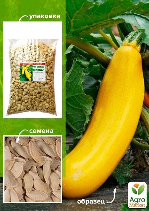 Кабачок-цуккини "Золотинка" ТМ "Весна" 500г