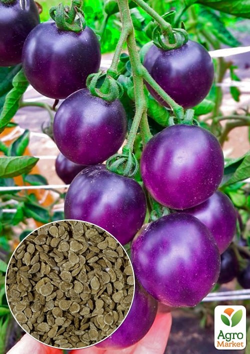 На развес Томат "Синяя птица" ТМ "Весна" цена за 1г