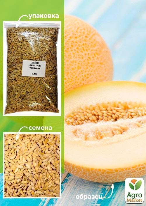Диня "Престиж" ТМ "Весна" 500г