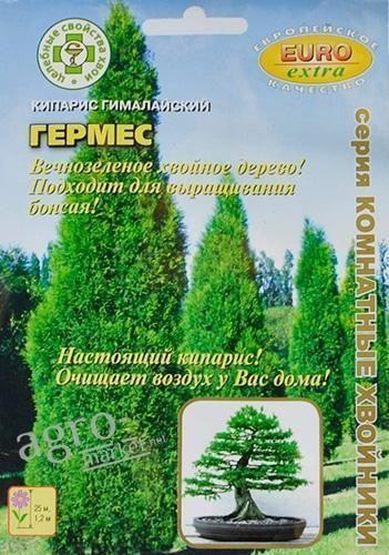 Кипарис гималайский "Гермес" ТМ "Аэлита" 0.08г