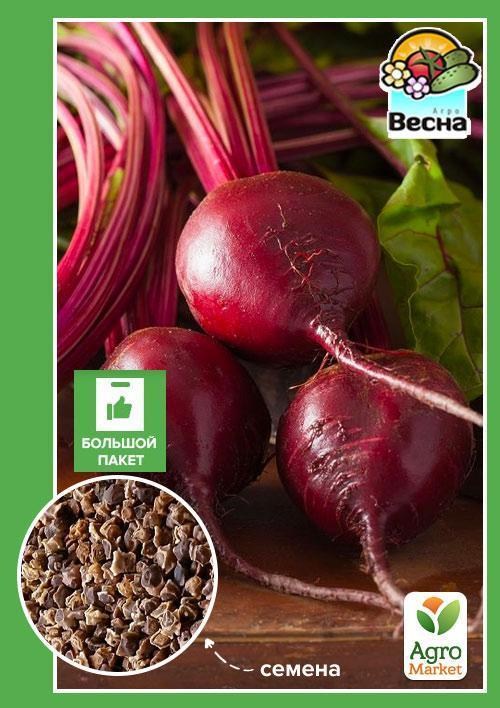 Буряк "Ноховський" (Великий пакет) ТМ "Весна" 6г