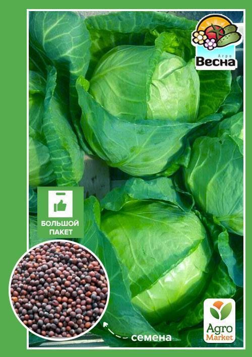 Капуста "Дітмаршер Фрюєр" (Великий пакет) ТМ "Весна" 3г