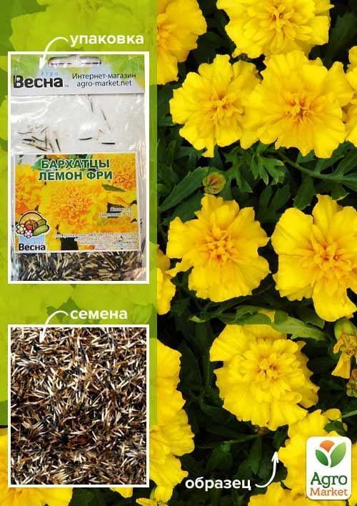 Чорнобривці "Лемон Фрі" (Зипер) ТМ "Весна" 2г