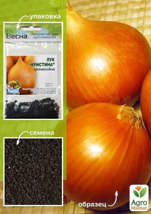 Лук "Кристина" (Зипер) ТМ "Весна" 3г